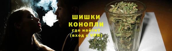 индика Каменск-Шахтинский
