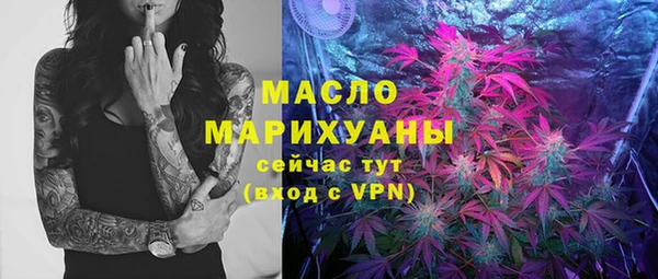 индика Каменск-Шахтинский