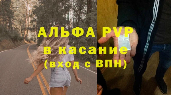 индика Каменск-Шахтинский