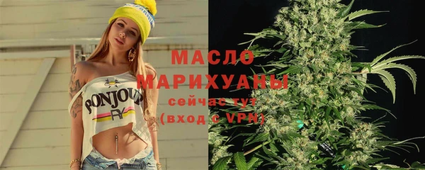 индика Каменск-Шахтинский